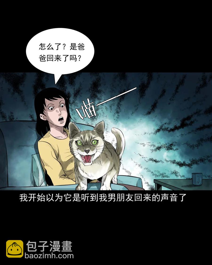 511 猫看见了什么-第513话