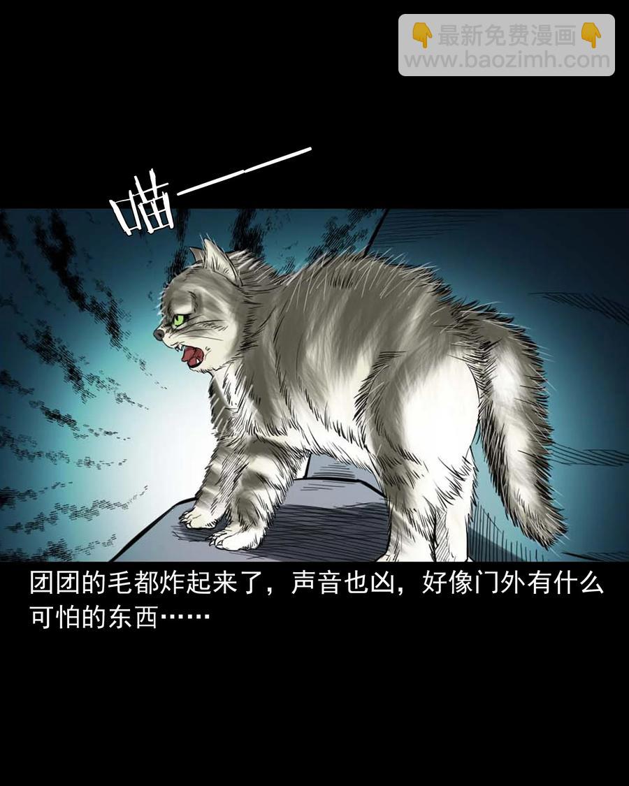 511 猫看见了什么-第513话