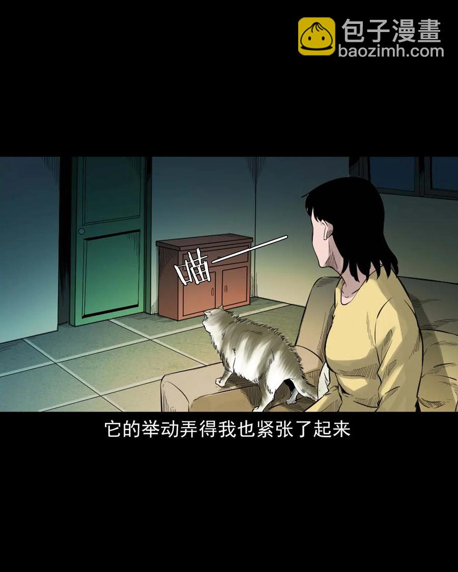 511 猫看见了什么-第513话
