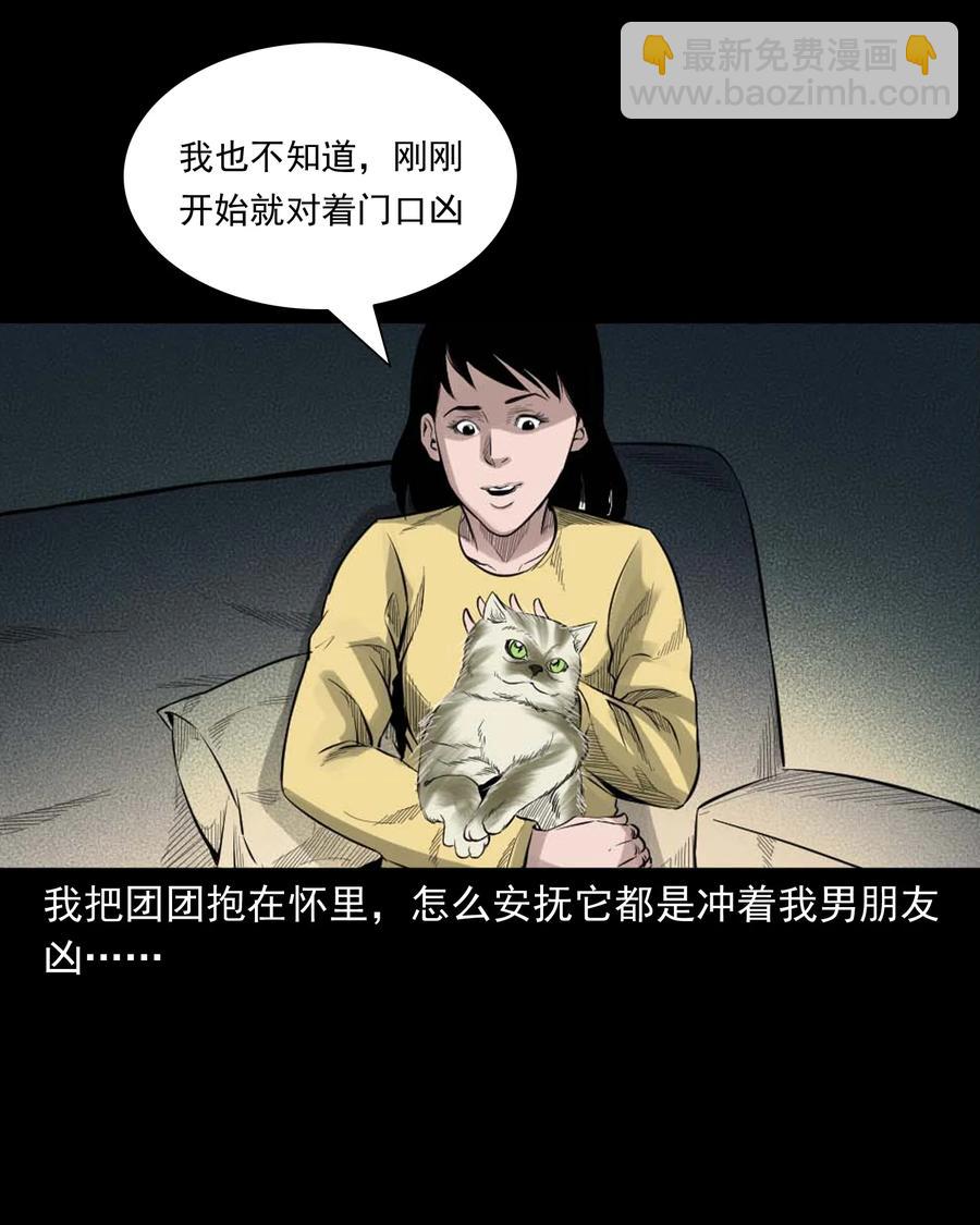 511 猫看见了什么-第513话