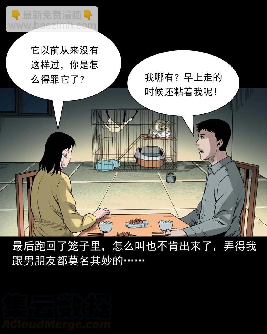 511 猫看见了什么-第513话