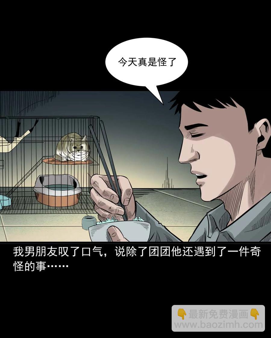511 猫看见了什么-第513话