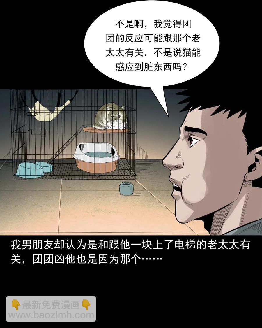 511 猫看见了什么-第513话