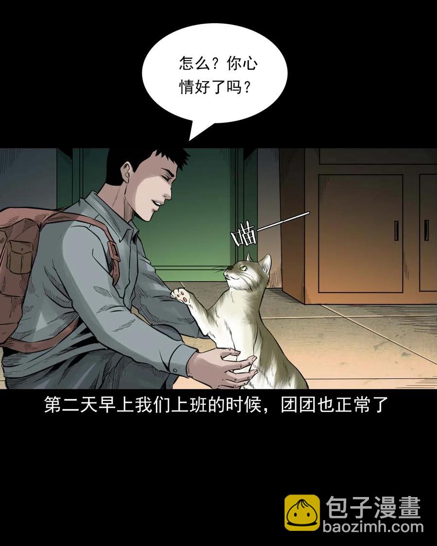 511 猫看见了什么-第513话