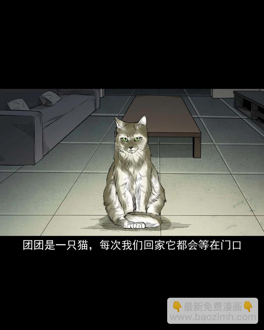 511 猫看见了什么-第513话