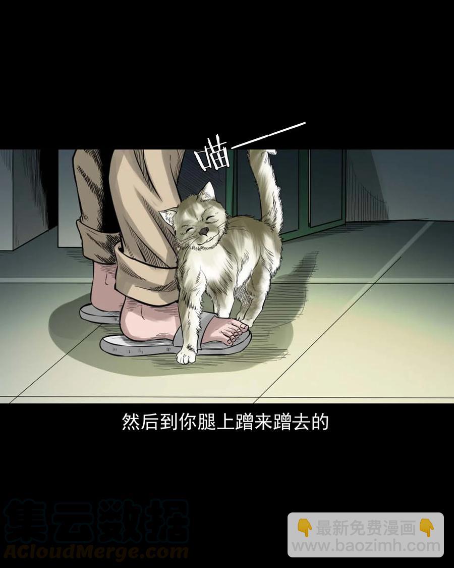 511 猫看见了什么-第513话