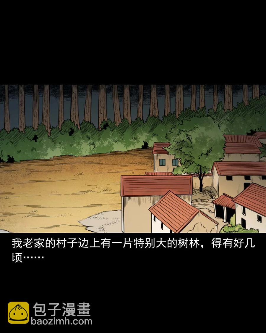 513 恐怖丛林(1/2)-第515话