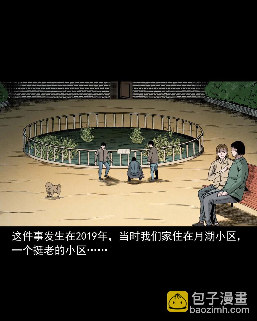 537 不速来客(1/2)-第539话