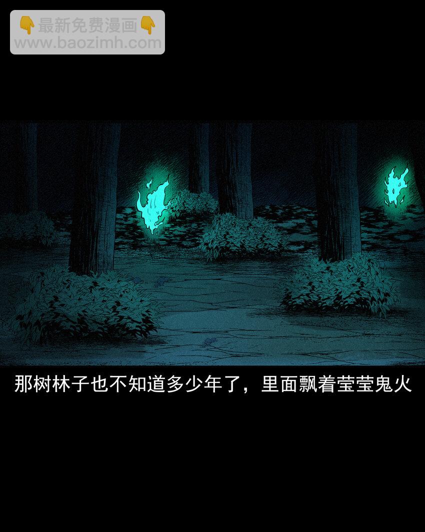 578 乡村教师诡闻1(1/2)-第579话