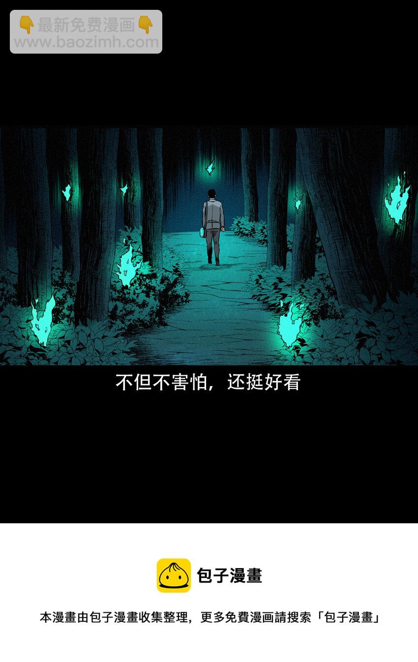578 乡村教师诡闻1(1/2)-第579话