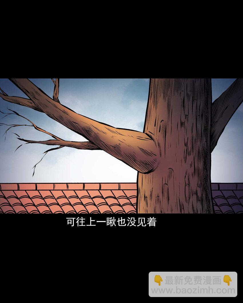 652 老烟鬼166话(1/2)-第653话