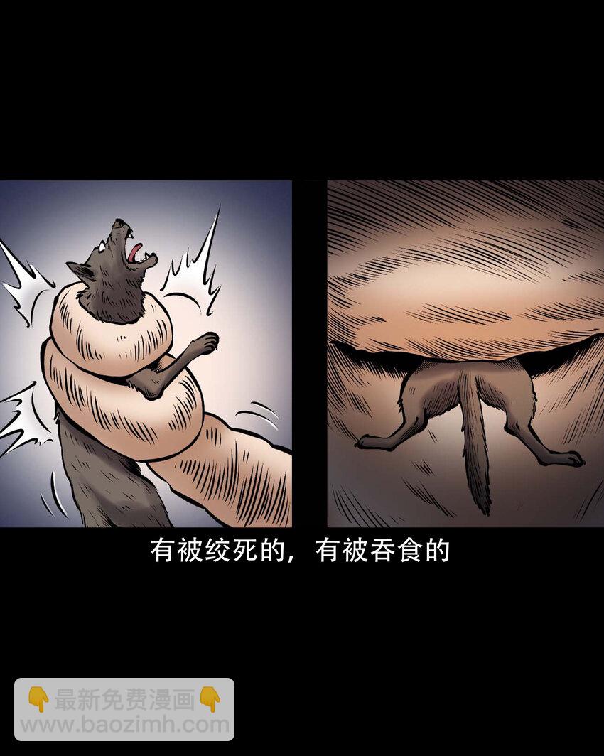 666 老烟鬼177话(1/2)-第667话