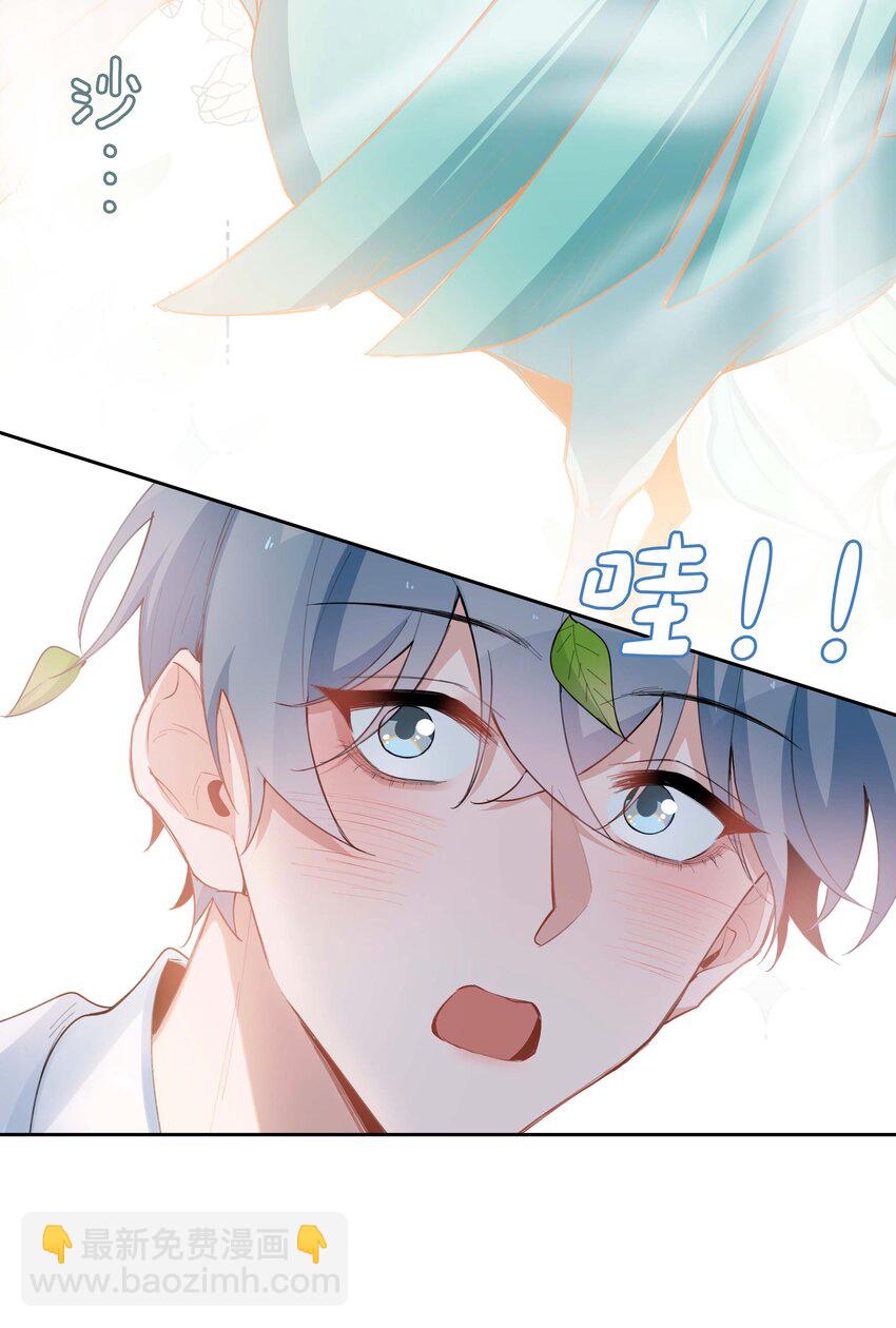 第95话 龙血树都有自己的龙？！-第95话