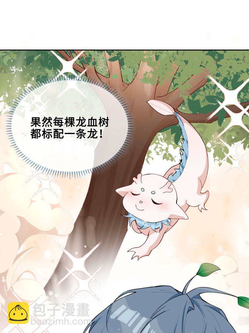 第95话 龙血树都有自己的龙？！-第95话