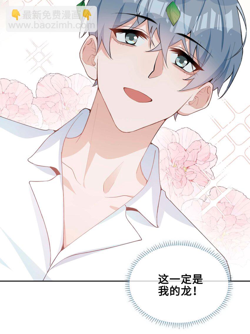 第95话 龙血树都有自己的龙？！-第95话