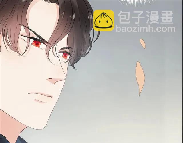 🍱闪婚总裁契约妻 第155话 顾兮兮，你赢了 第27页