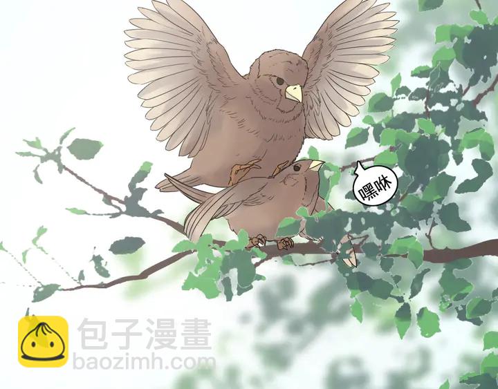🍱闪婚总裁契约妻 第253话 听说今日有瓜？ 第47页