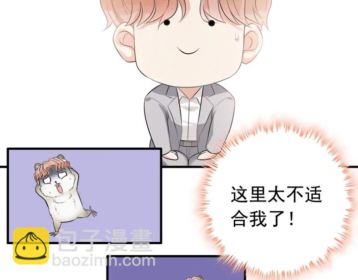 🍱闪婚总裁契约妻 第287话 天塌下来老公顶着 第49页