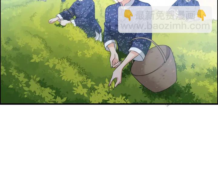 🍱闪婚总裁契约妻 第337话 茶山的雨天 第13页