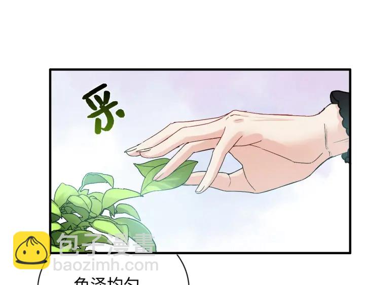 🍱闪婚总裁契约妻 第337话 茶山的雨天 第14页