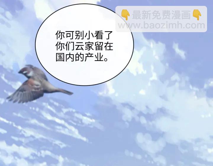 🍱闪婚总裁契约妻 第337话 茶山的雨天 第7页
