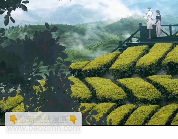 🍱闪婚总裁契约妻 第337话 茶山的雨天 第9页