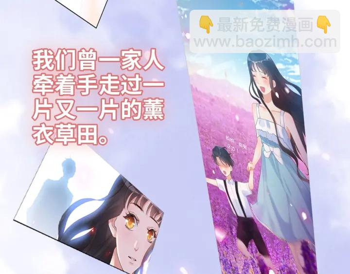 🍱闪婚总裁契约妻 第355话 花海中的“告白” 第15页