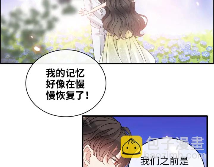 🍱闪婚总裁契约妻 第355话 花海中的“告白” 第22页
