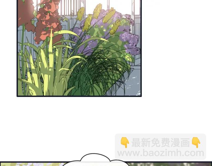 🍱闪婚总裁契约妻 第355话 花海中的“告白” 第5页