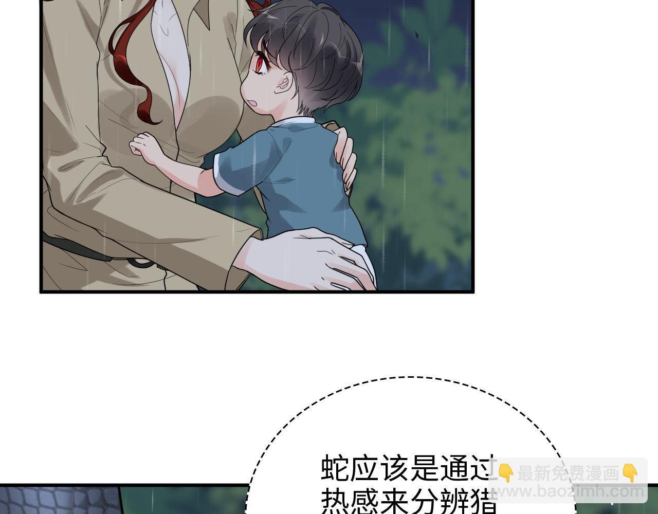 🍱闪婚总裁契约妻 第473话  前有蛇，后有鳄 第43页