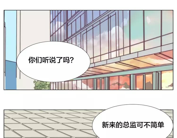 第28话 新任女总监！(1/2)-第29话