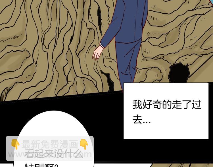 第121话 盆景艺术家（中）(1/3)-第123话