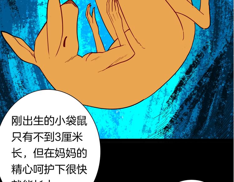 第139话 袋鼠（下）(1/3)-第141话