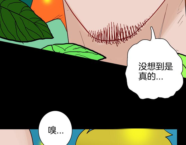 第147话 崖柏（下）(1/4)-第149话
