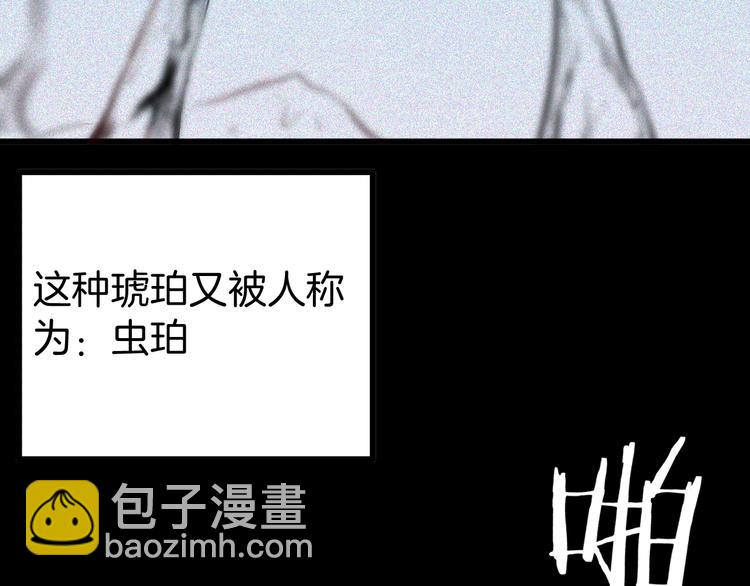 第55话 虫珀收藏家(1/3)-第55话