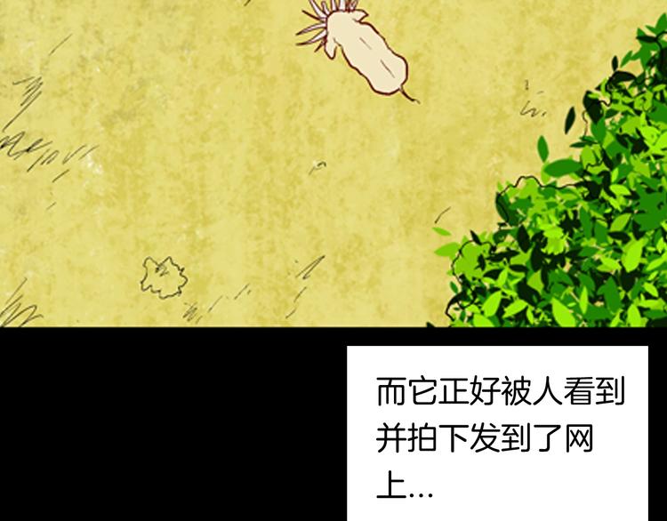 第93话 象牙(1/3)-第95话