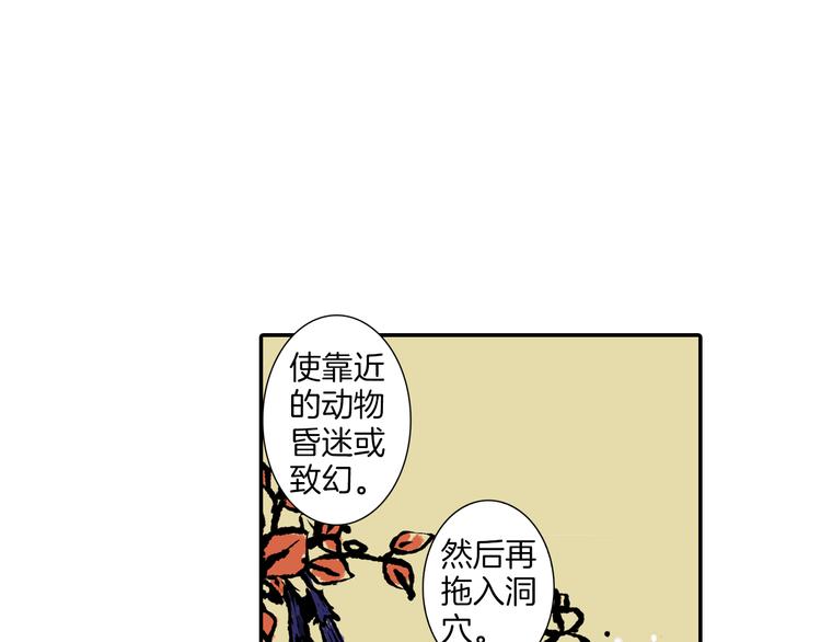 第10话 奇异的月光(1/2)-第11话