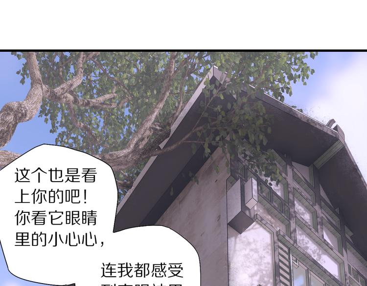 第70话 小枣烂桃花爆发(1/3)-第77话