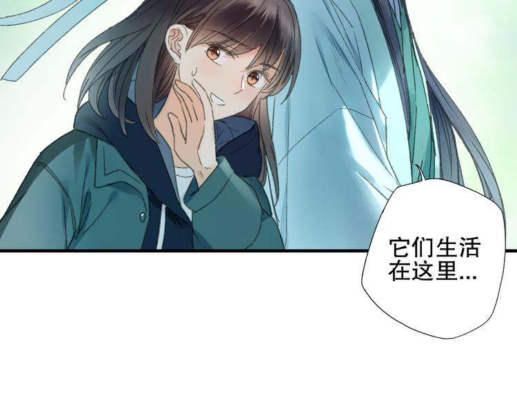 第74话 山神巡山(1/3)-第81话