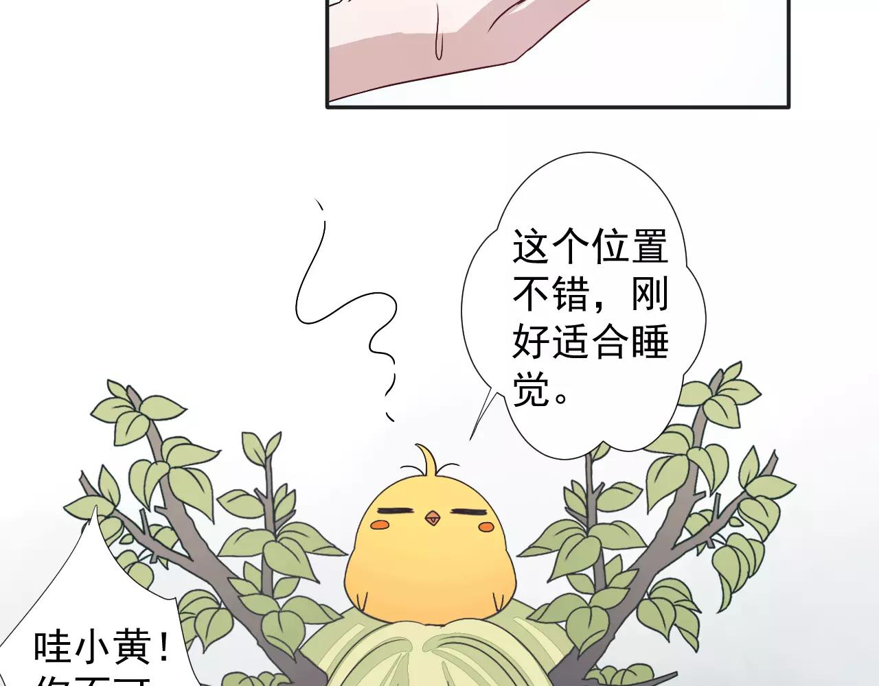 第40话  疏离(1/2)-第41话