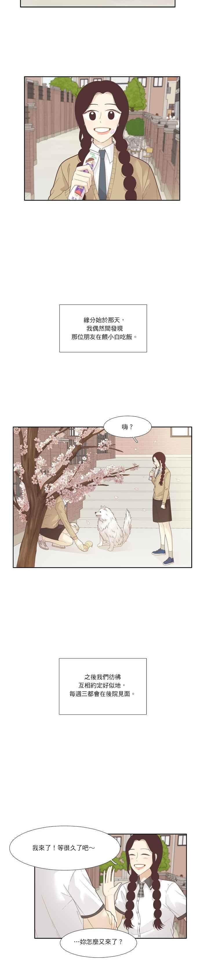 🍱少女的世界 [第196话] 愿望成真(仙智视角) 第2页