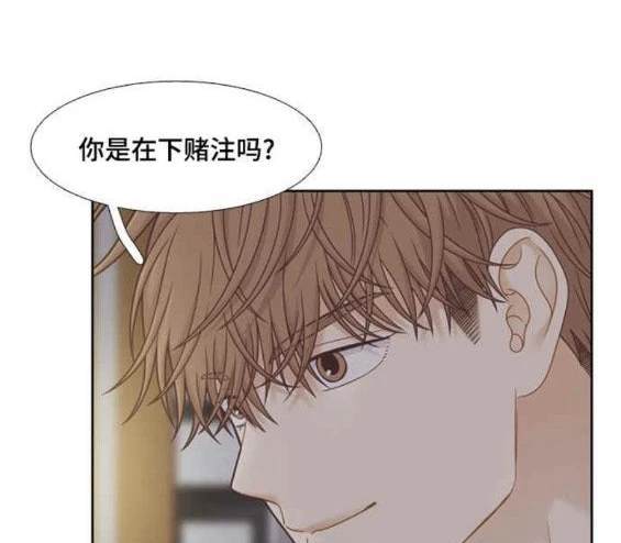 🍱少女的世界 第2季第139话 第46页
