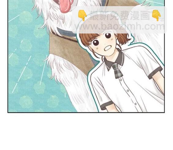 🍱少女的世界 第2季第169话 第46页