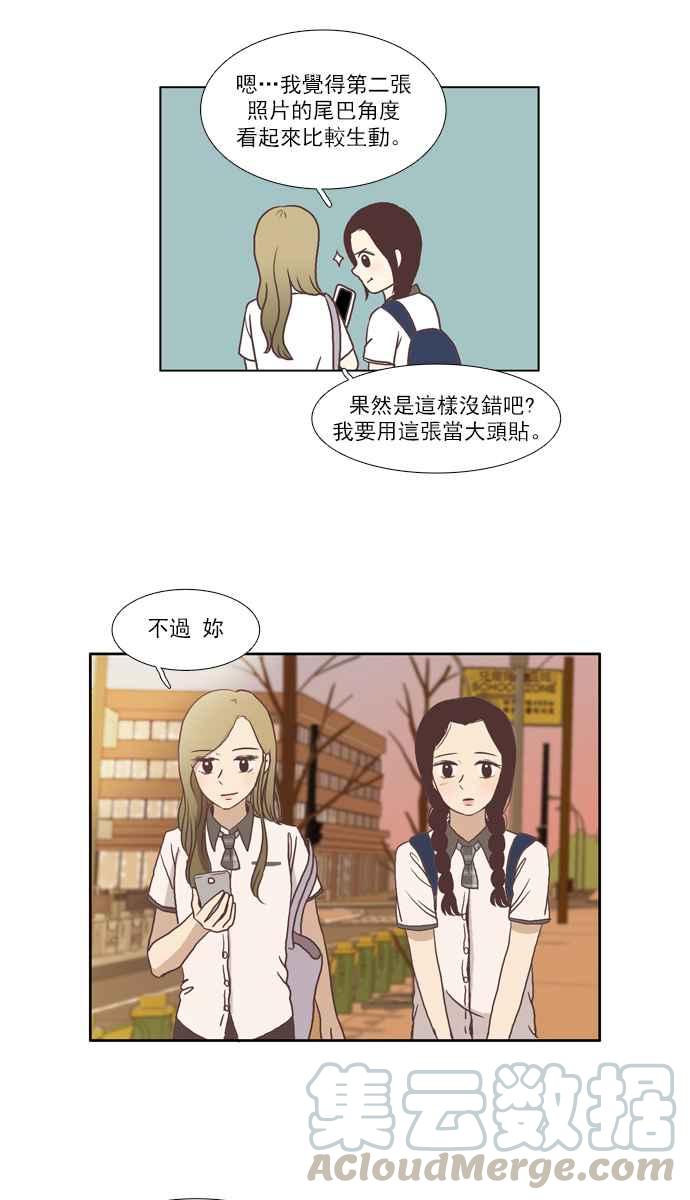🍱少女的世界 [第65话] 真实或虚伪(下) 第31页