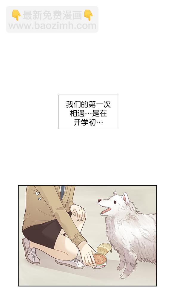 🍱少女的世界 [第196话] 愿望终究会实现 (仙智视角） 第3页