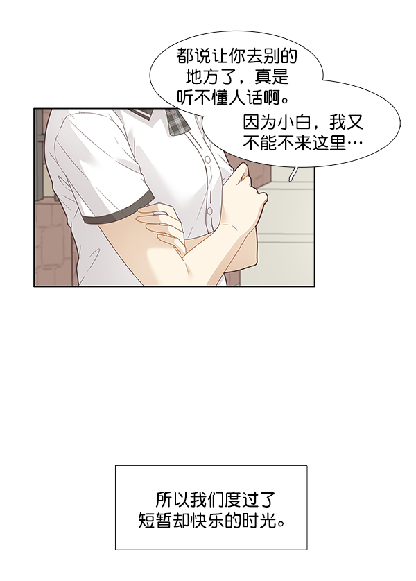 🍱少女的世界 [第196话] 愿望终究会实现 (仙智视角） 第8页