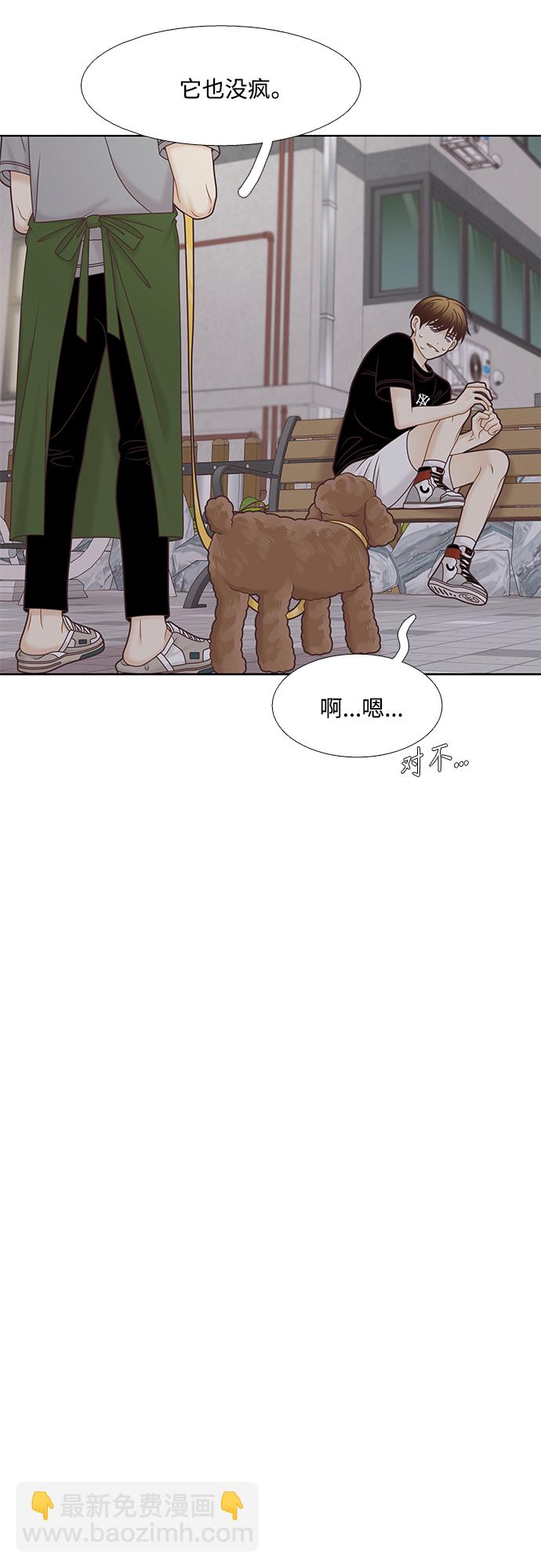 🍱少女的世界 [第二季] 第128话 第41页