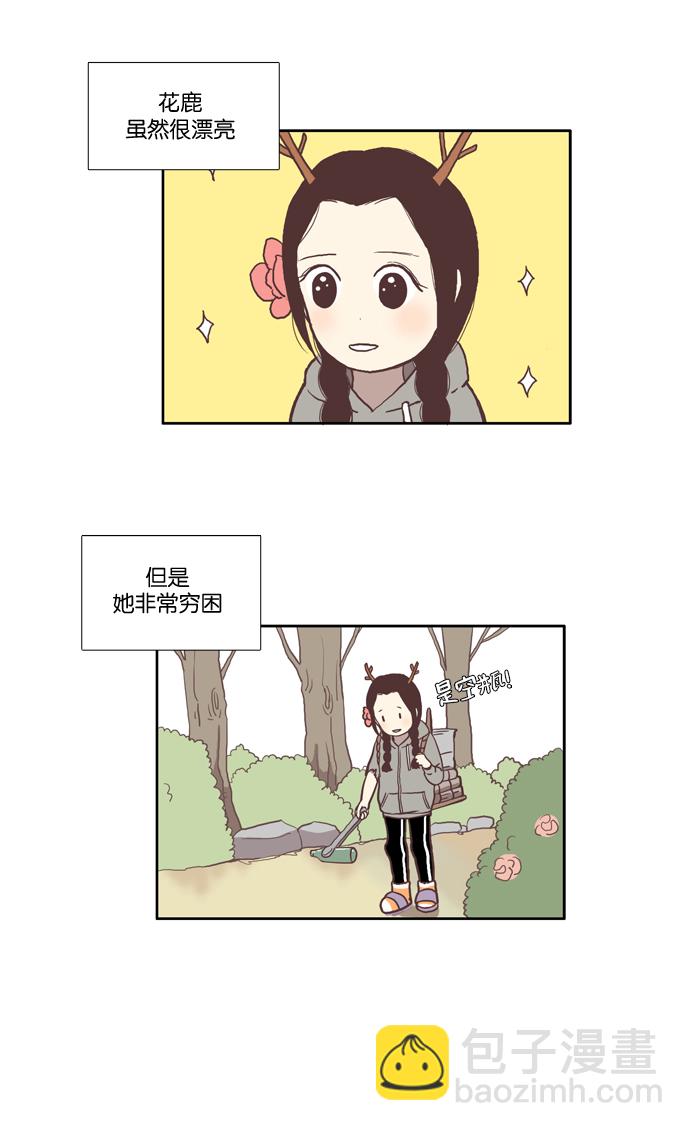 🍱少女的世界 [第39话] 特别篇 - 少女的世界动物剧场 第2页