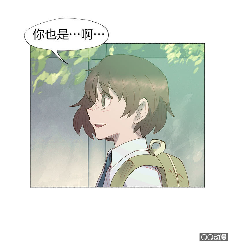 激烈的争吵(1/2)-第13话