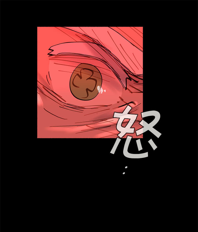飓风(1/2)-第31话